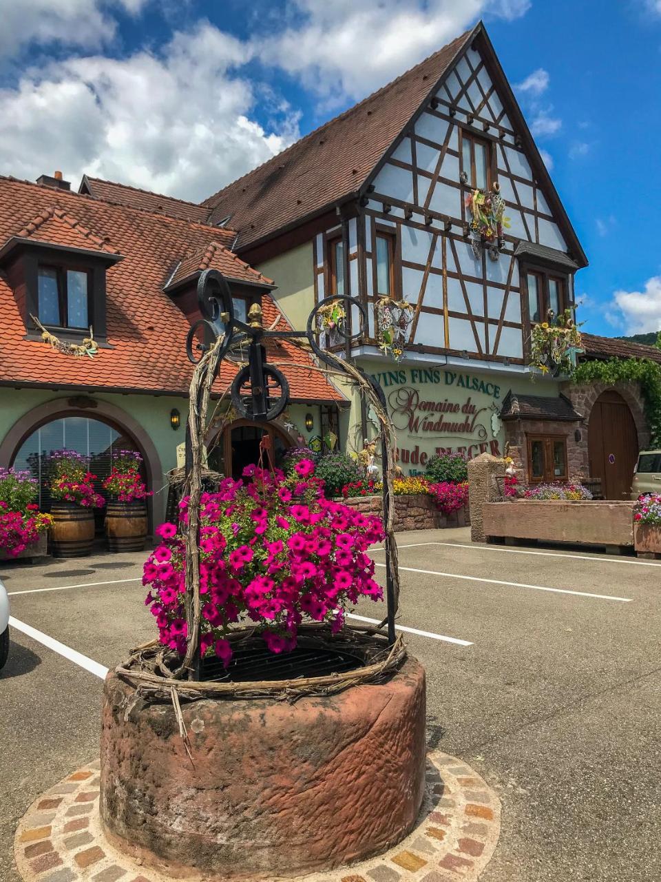 Hotel Domaine Bleger By Windmuehl Saint-Hippolyte  Exterior foto