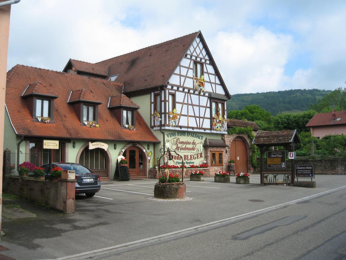 Hotel Domaine Bleger By Windmuehl Saint-Hippolyte  Exterior foto